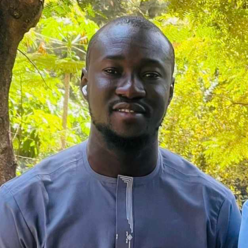Mohamed Lamine DOUMBIA